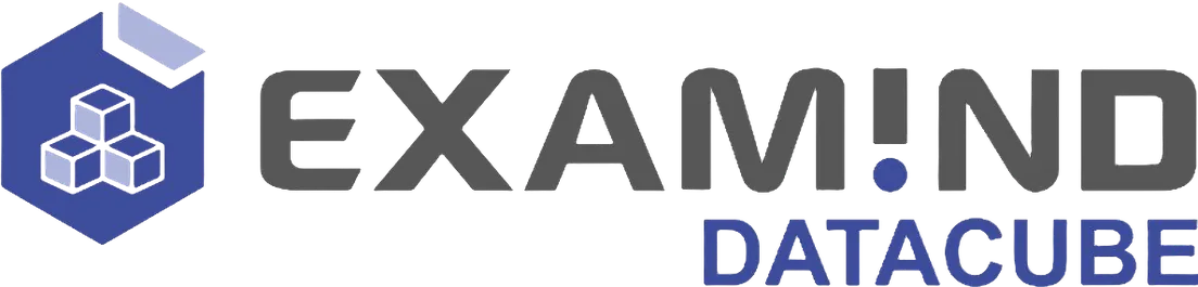 Logo Examind Datacube