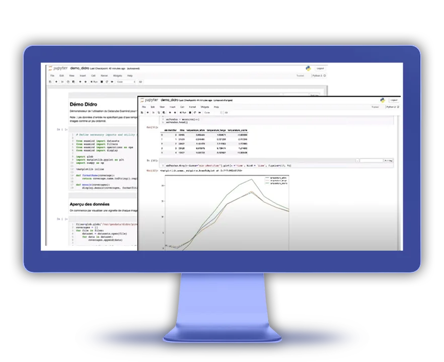 Notebook Jupyter exploitant l'API du Datacube : code Python et graphique de séries temporelles